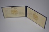 Стоимость диплома техникума УзбекАССР 1975-1991 г. в Ужуре (Красноярский Край)